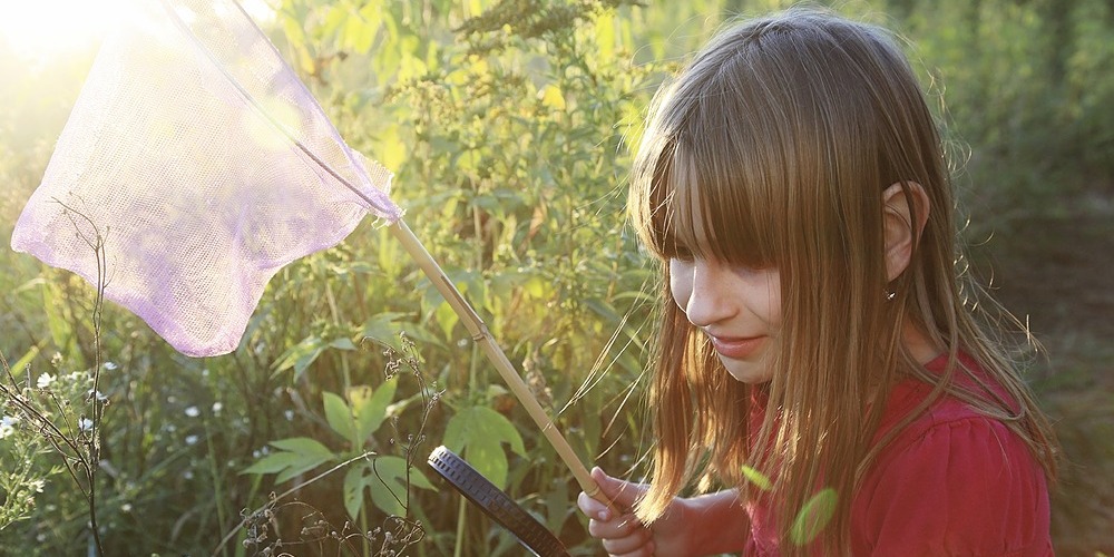 Park Science - Incredible Invertebrates, Centennial Park, Mon 26th Sep ...