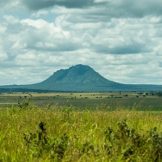 tourhub | Beach and Safari Holidays | Classic Drive Safari Cats, Calves & Crater 