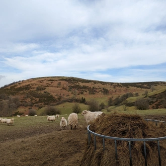 tourhub | Adventure Tours UK | Self-guided Offa's Dyke Path: North 