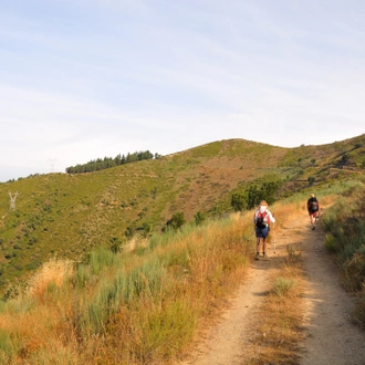 tourhub | Exodus Adventure Travels | Walking across the Pyrenees on the Camino Frances 