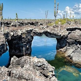 tourhub | BM Tours | Galapagos - Santa Cruz and Isabela. 6 Days Tours 