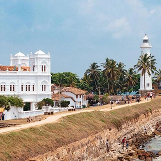tourhub | Ceylon Travel Dream | 03 Day  Sinharaja Rain Forest and Hikkaduwa Tour  from Galle 