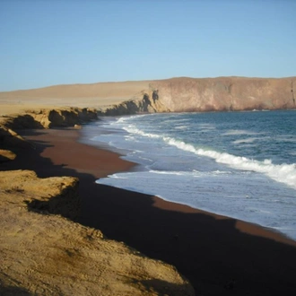 tourhub | Bamba Travel | Ballestas Islands & Sand-Boarding Adventure 2D/1N 