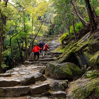 tourhub | Intrepid Travel | Japan: Koya-san & Kumano Kodo Trek 