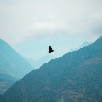 tourhub | TreXperience | Choquequirao Trek 5 Days 4 Nights: Discover the Hidden Inca Gem 