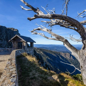 tourhub | Intrepid Travel | Walk Victoria's High Country 