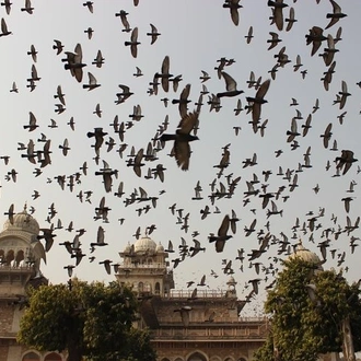 tourhub | Agora Voyages | Golden Horizon: Sand Dunes Trail from Jodhpur to Jaipur 