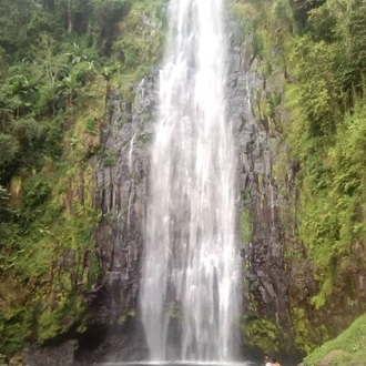 Marangu Waterfalls Cultural Tour & Local Coffee Making With AFRICA NATURAL TOURS.