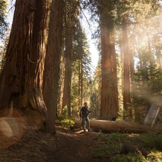 tourhub | Intrepid Travel | Best of California's National Parks 