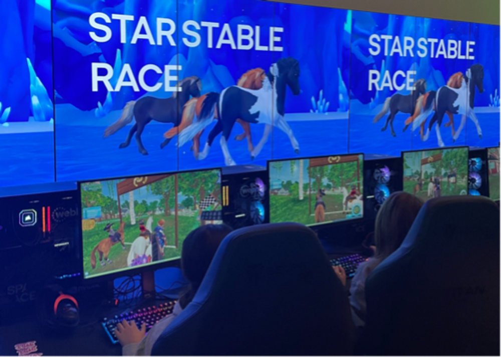 Star Stable race
