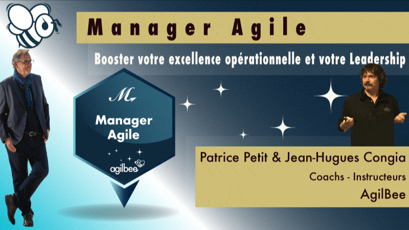 Représentation de la formation : Manager Agile et Leadership Agile