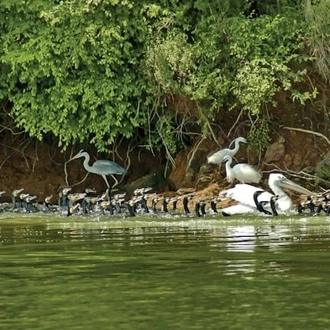 tourhub | Travel Editions | Flowers And Wildlife Of Northern Greece Tour 