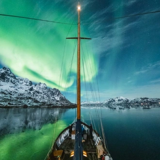 tourhub | World Sea Explorers AS | Whale Watching, Northern Lights & Sledding from Tromso 