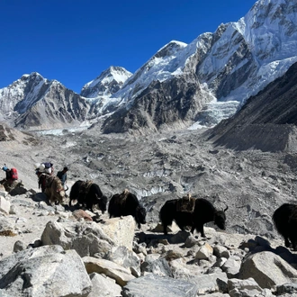 tourhub | Swotah Travel and Adventure | Everest Three High Passes Trek 