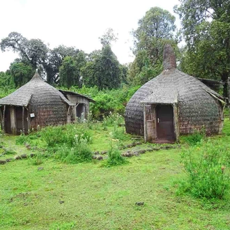 tourhub | YellowWood Adventures | Trekking and wolf-spotting in the Bale Mountains of Ethiopia 