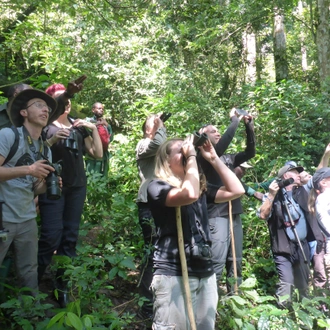 tourhub | Kingfisher Journeys | 3 Days Lake Kivu Kayaking Excursion 