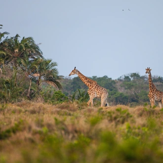 tourhub | Exodus Adventure Travels | Southern Africa Safari: Kruger & Coast 