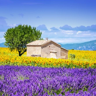 tourhub | Exodus Adventure Travels | Hilltop Villages of Provence Cycling 