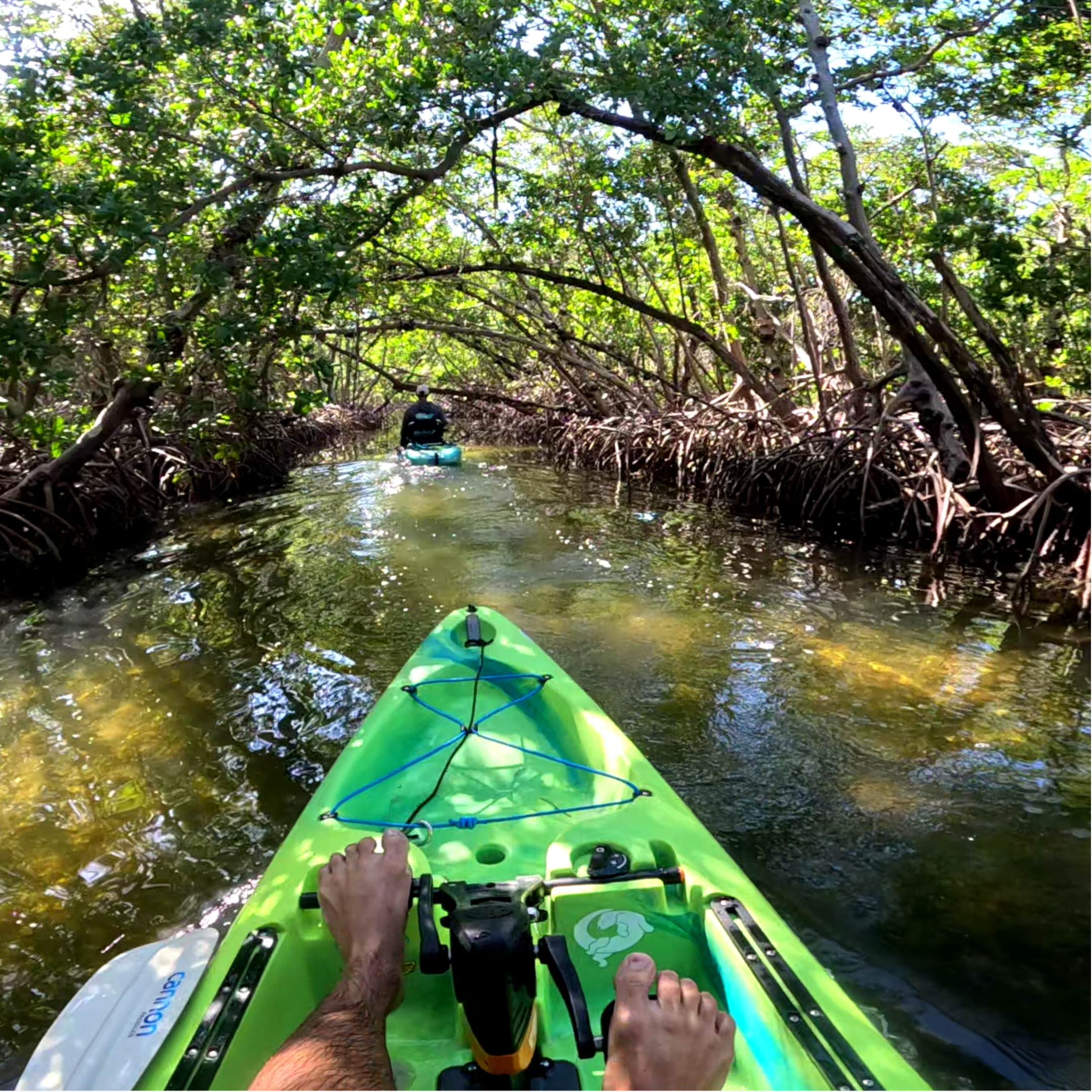 Mangrove Trail Pedal Kayak Tour (Terra Ceia Bay)