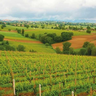 tourhub | Angel Wine Experiences | Sacred Land of Umbria 