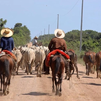 tourhub | Undiscovered Destinations | Brazil - Pantanal Explorer 