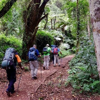 tourhub | Gracepatt Ecotours Kenya | 7 Days Mount Kilimanjaro Trekking through Umbwe Route  