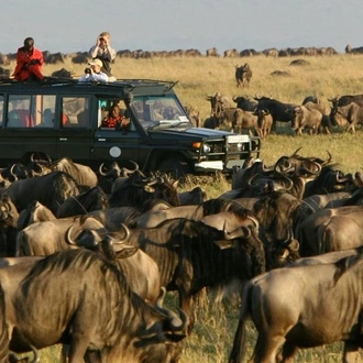 tourhub | Across Africa Tours Travel | 6 Days /5 Nights Adventure in Masai Mara,Lake Nakuru, Amboseli 