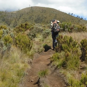 5 Days Marangu Route Kilimanjaro Hiking Group 2023,2024 & 2025