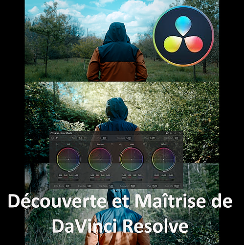 Représentation de la formation : Découverte et Maîtrise de DaVinci Resolve pas à pas 