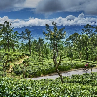 tourhub | SpiceRoads Cycling | Sri Lanka Spice Trails 