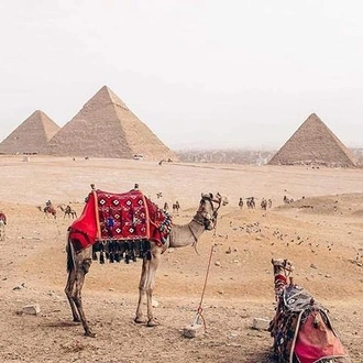 tourhub | Sun Pyramids Tours | Package 15 Days 14 Nights Holy Family Tour in Egypt 