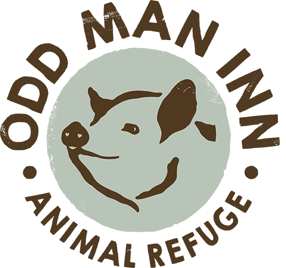 Odd Man Inn logo