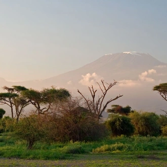 tourhub | Intrepid Travel | Serengeti & Kilimanjaro 