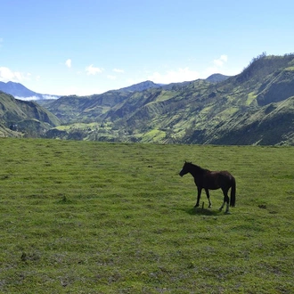 tourhub | Bamba Travel | All Landscapes of Ecuador 12D/11N 