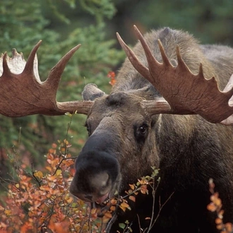 tourhub | Explore! | Outdoor Alaska 