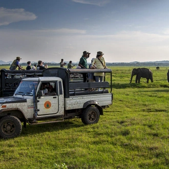 tourhub | Ceylon Travel Dream | Adventure & Safari Tour 