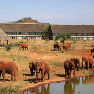 tourhub | Today Voyages | Jacaranda Indian Ocean Beach Resort & 3 Night Safari 