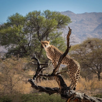 tourhub | Exodus Adventure Travels | Discover Namibia - Camping 