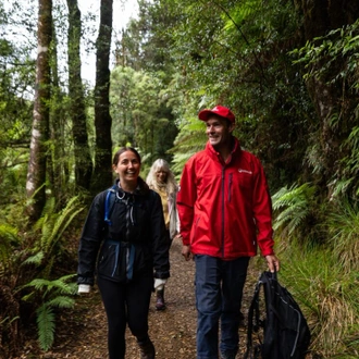 tourhub | Intrepid Travel | Walk Tasmania's Tarkine & Cradle Mountain 