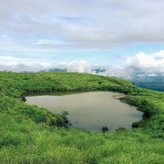 tourhub | Go Book Tours | Bandipur National Park Tour with Wayanad 