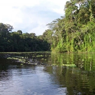 tourhub | Tangol Tours | 4-Day Trip to Pacaya Samiria Amazon Lodge 