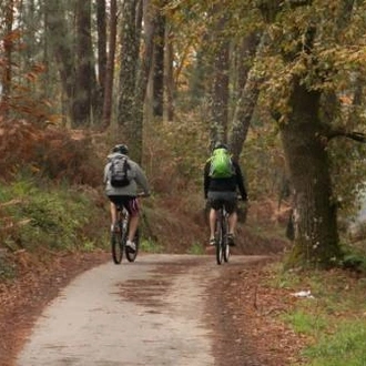 tourhub | UTracks | Portuguese Camino Cycle - Porto to Santiago 