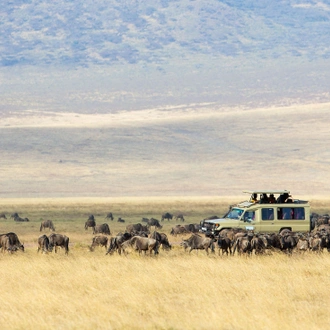 tourhub | Intrepid Travel | Kenya and Tanzania Family Safari  