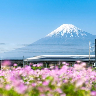 tourhub | Brightwater Holidays | Gardens of Honshu and Hokkaido 7955 