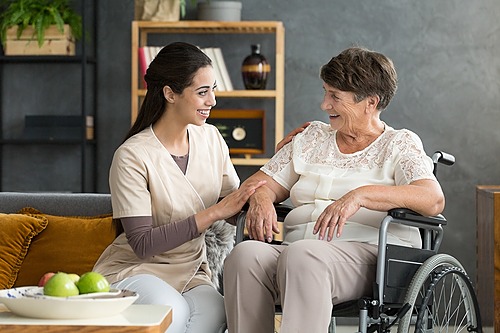 Représentation de la formation : Formation Assistant(e) de vie aux Familles intégrant du FLE (Français Langue Etrangère)/FOS (Français sur objectifs spécifiques)