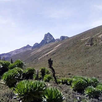 tourhub | Gracepatt Ecotours Kenya | 4 Days Mount Kenya Climb - Sirimon Route 