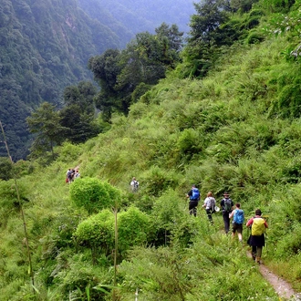 tourhub | Alpine Club of Himalaya | Chiapani Nagarkot Popular Trek - 3 Days 