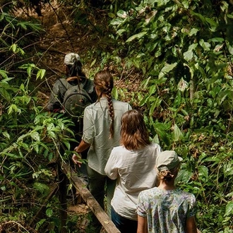 tourhub | Bamba Travel | Puerto Maldonado Amazon Superior Lodge 4D/3N (from Puerto Maldonado) 