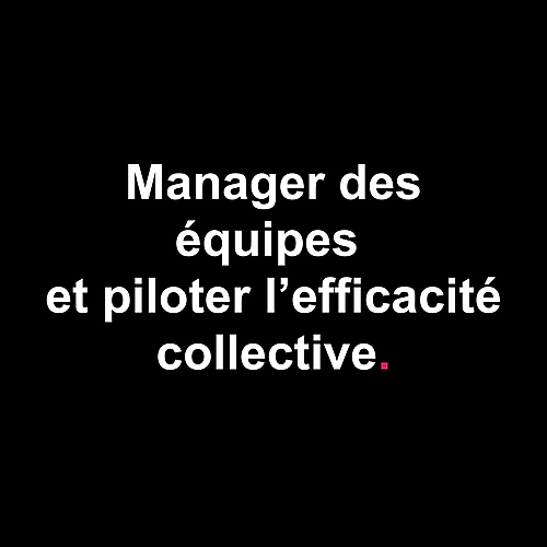 Représentation de la formation : Manager des équipes et piloter l'efficacité collective