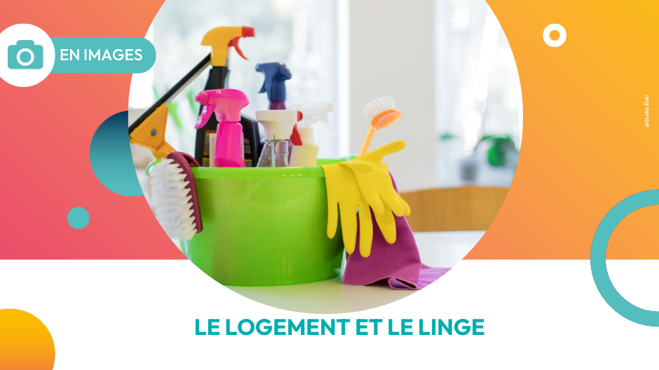 Représentation de la formation : Techniques et  gestes professionnels : l'entretien du logement et du linge 